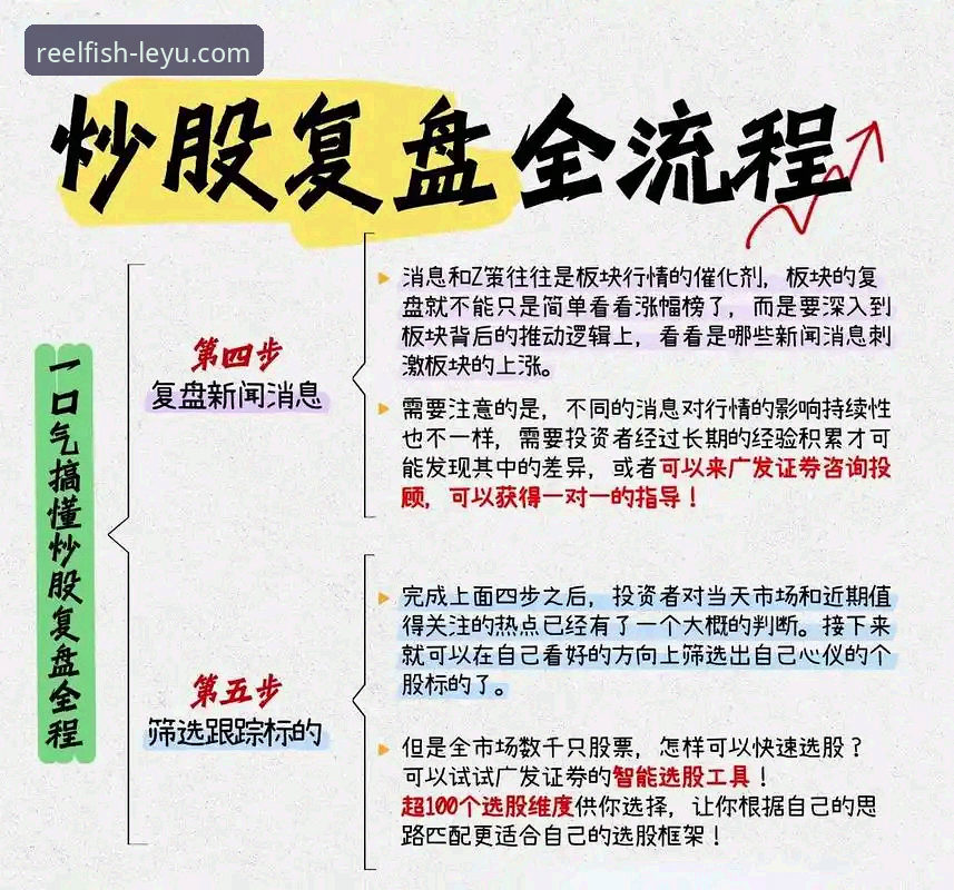 从“金元王朝”到庭审现场：一次深度复盘分析教程